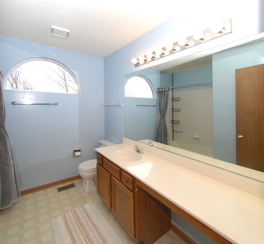 48 Rustic Ln, Round Lake Beach, IL 60073 photo 12