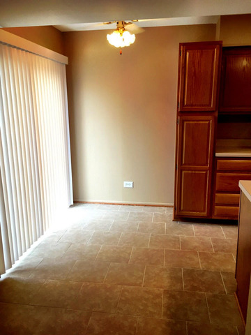 173 Emil Ct #B, Bartlett, IL 60103 photo 4