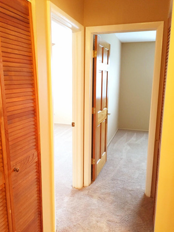 173 Emil Ct #B, Bartlett, IL 60103 photo 24
