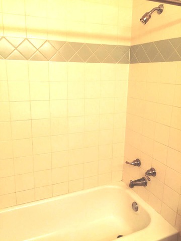 173 Emil Ct #B, Bartlett, IL 60103 photo 22