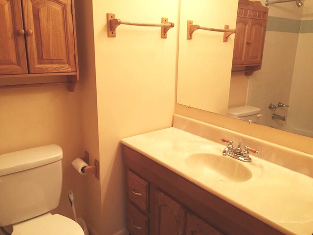 173 Emil Ct #B, Bartlett, IL 60103 photo 21