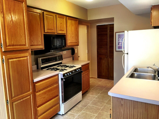 173 Emil Ct #B, Bartlett, IL 60103 photo 10