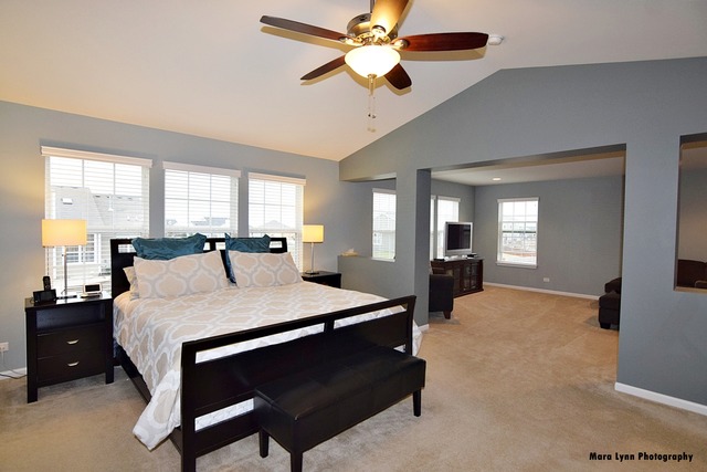 253 Stagecoach Dr, Elgin, IL 60124 photo 12