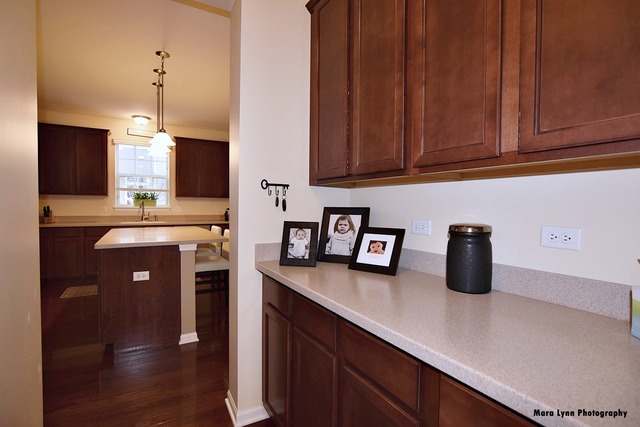 253 Stagecoach Dr, Elgin, IL 60124 photo 9