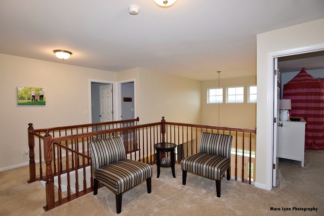 253 Stagecoach Dr, Elgin, IL 60124 photo 20
