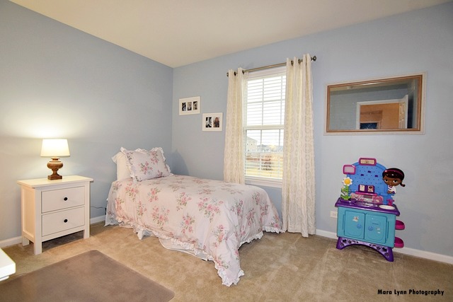 253 Stagecoach Dr, Elgin, IL 60124 photo 22