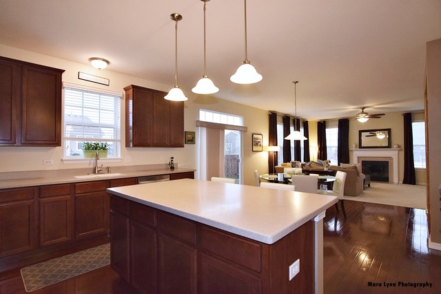 253 Stagecoach Dr, Elgin, IL 60124 photo 8