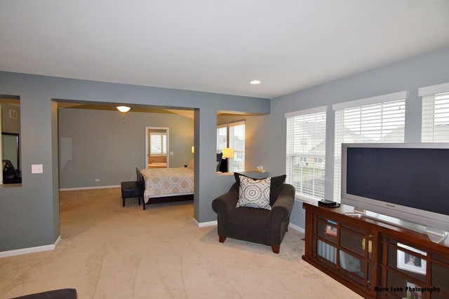 253 Stagecoach Dr, Elgin, IL 60124 photo 14