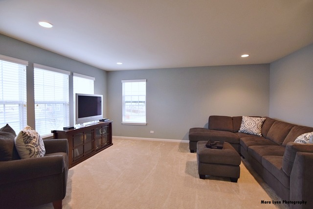 253 Stagecoach Dr, Elgin, IL 60124 photo 13