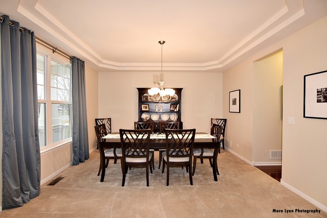253 Stagecoach Dr, Elgin, IL 60124 photo 4