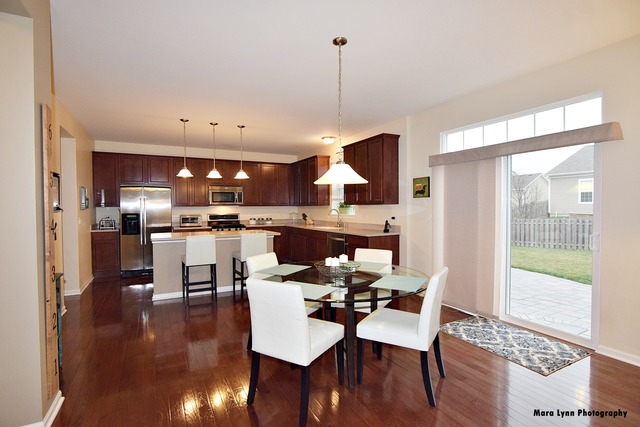 253 Stagecoach Dr, Elgin, IL 60124 photo 7