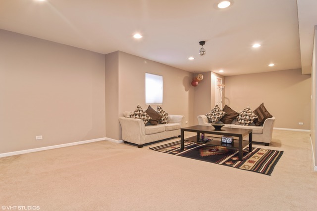 1227 Dunamon Dr, Bartlett, IL 60103 photo 10