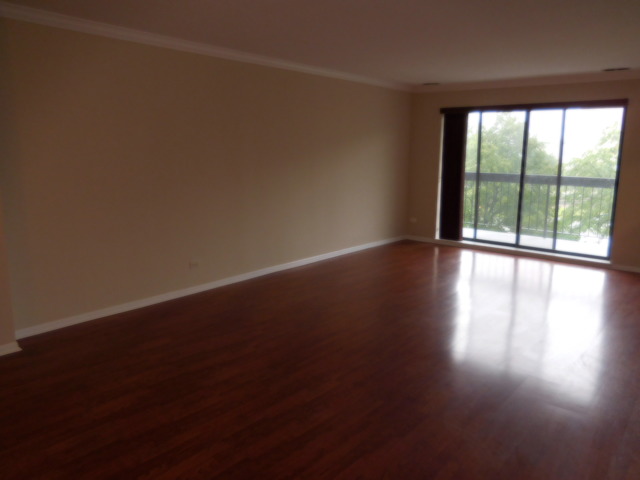 711 S River Rd #407, Des Plaines, IL 60016 photo 3