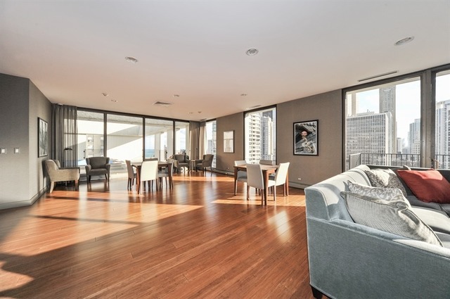 100 E Bellevue Pl #11F, Chicago, IL 60611 photo 14