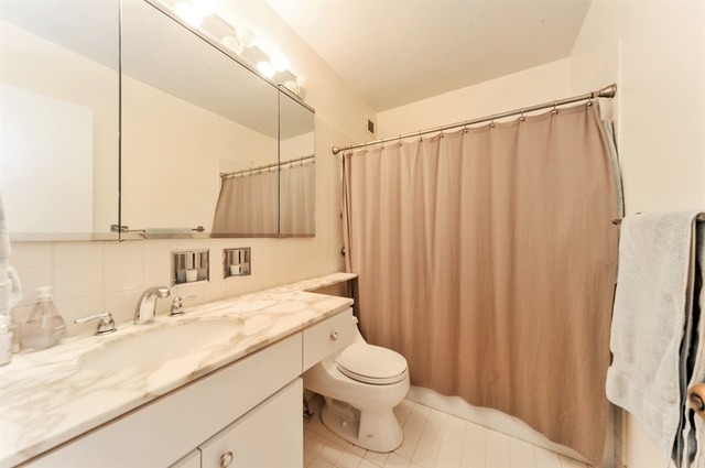 100 E Bellevue Pl #11F, Chicago, IL 60611 photo 8