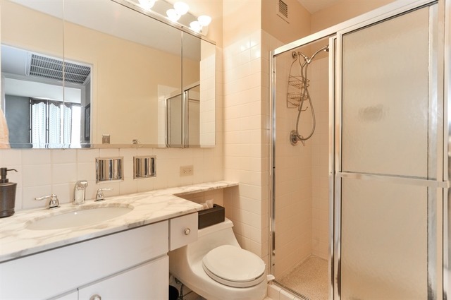 100 E Bellevue Pl #11F, Chicago, IL 60611 photo 9
