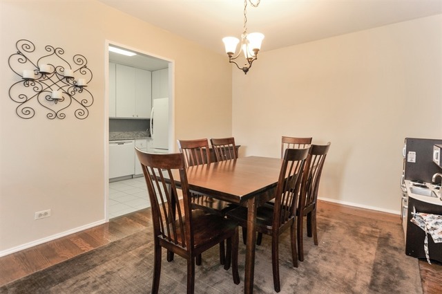 100 E Bellevue Pl #11F, Chicago, IL 60611 photo 5