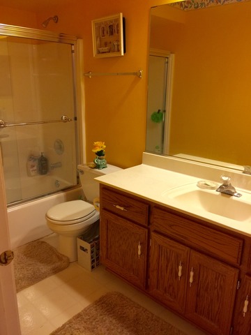 15911 Fairfield Dr, Plainfield, IL 60586 photo 22