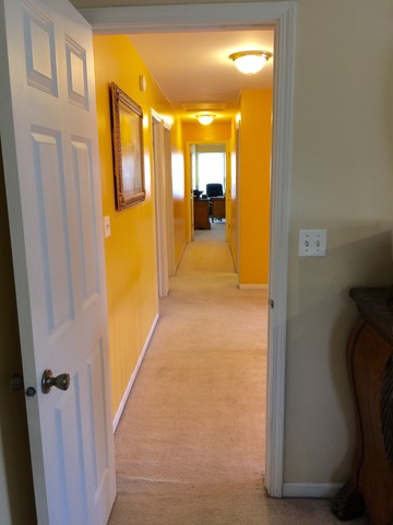 15911 Fairfield Dr, Plainfield, IL 60586 photo 21