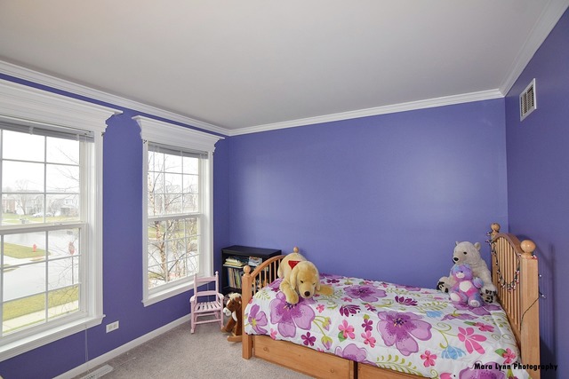 1150 Spinnaker St, Elgin, IL 60123 photo 20
