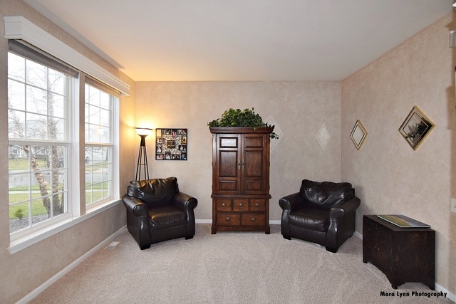 1150 Spinnaker St, Elgin, IL 60123 photo 3