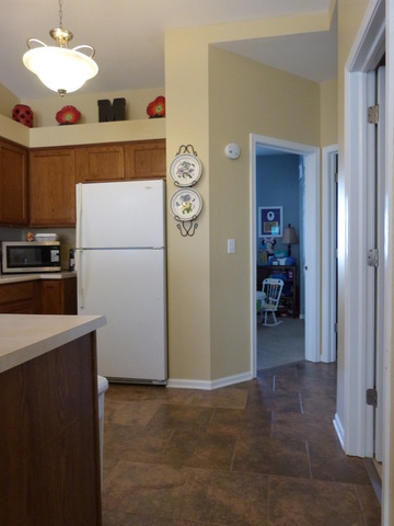 21240 Edison Ln, Plainfield, IL 60544 photo 11