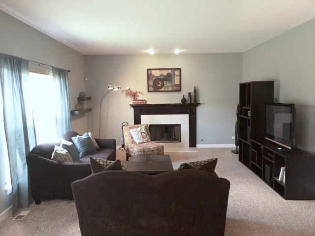 155 Prescott Dr, Bartlett, IL 60103 photo 11