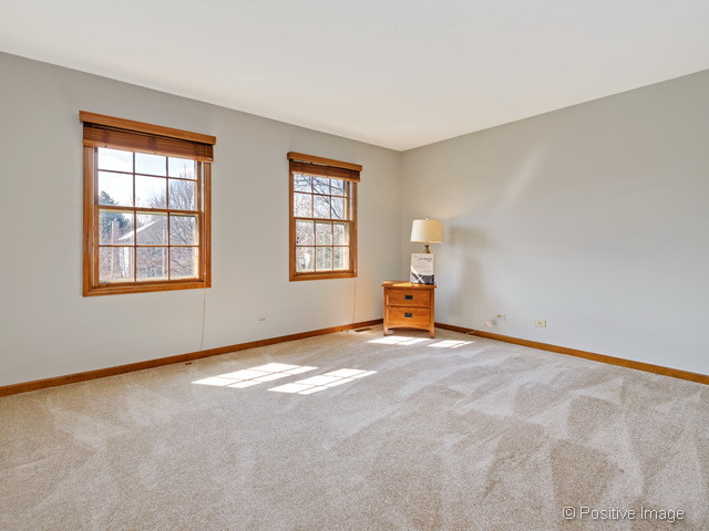 1413 Ginger Ln, Naperville, IL 60565 photo 19