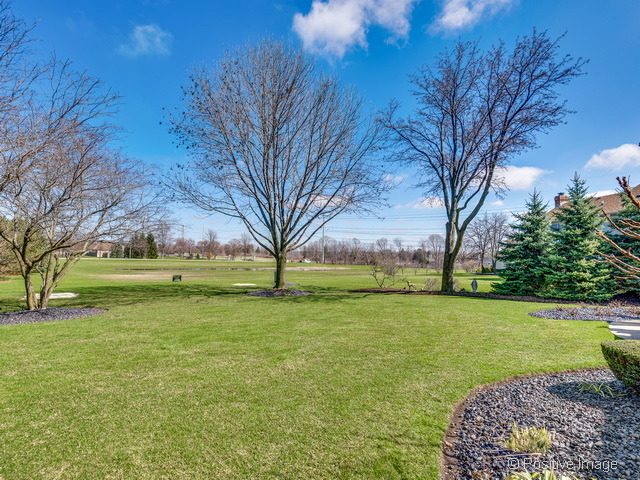 1413 Ginger Ln, Naperville, IL 60565 photo 23