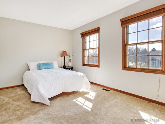 1413 Ginger Ln, Naperville, IL 60565 photo 17