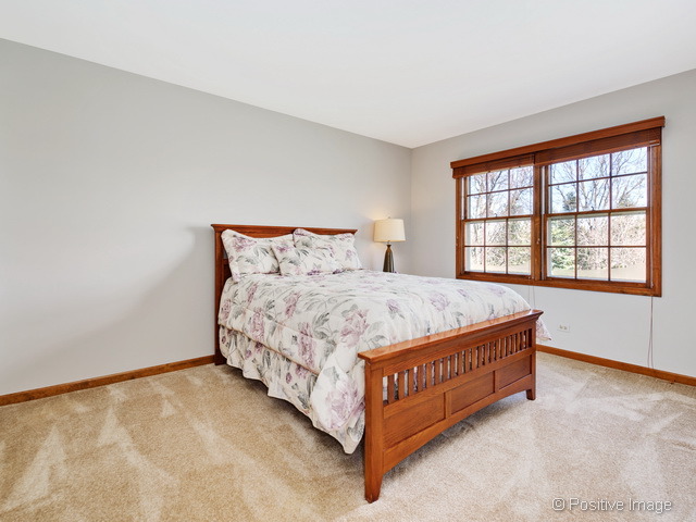 1413 Ginger Ln, Naperville, IL 60565 photo 20