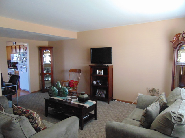 26252 S Locust Pl, Monee, IL 60449 photo 9
