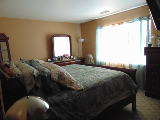 26252 S Locust Pl, Monee, IL 60449 photo 13