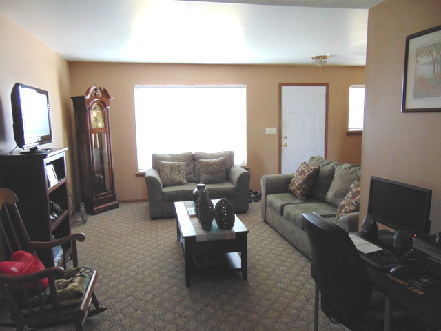 26252 S Locust Pl, Monee, IL 60449 photo 8