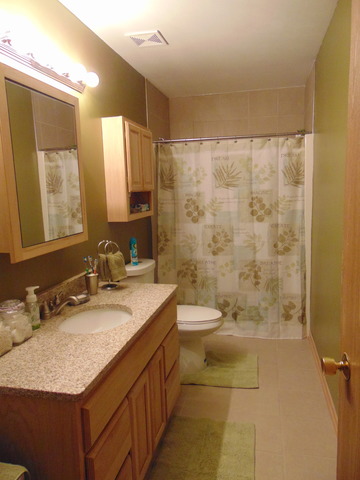 26252 S Locust Pl, Monee, IL 60449 photo 14