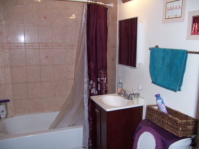 1846 S 14th Ave, Broadview, IL 60155 photo 5