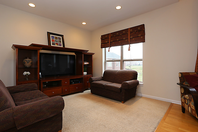 13407 Skyline Dr, Plainfield, IL 60585 photo 10