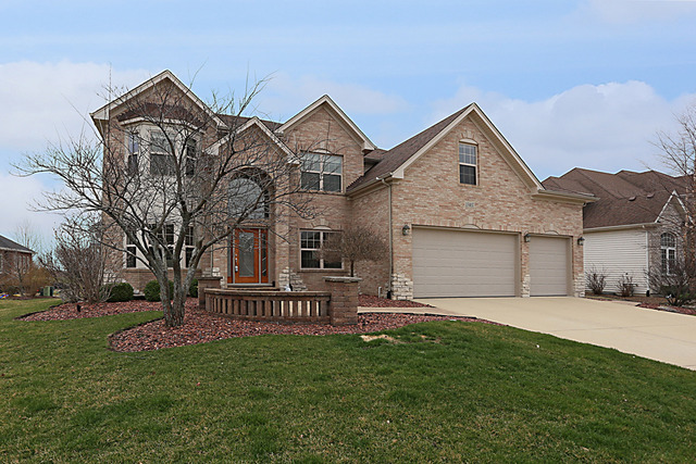 13407 Skyline Dr, Plainfield, IL 60585 photo 1