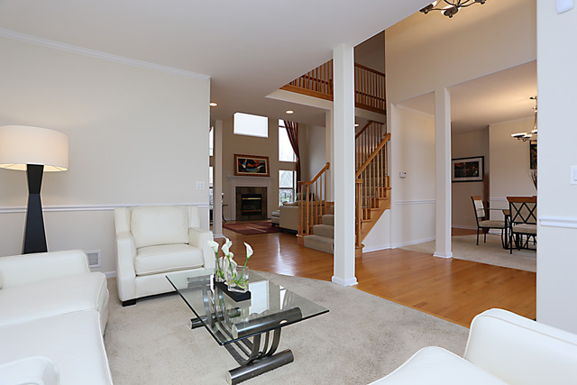 13407 Skyline Dr, Plainfield, IL 60585 photo 6
