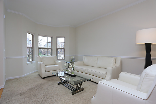 13407 Skyline Dr, Plainfield, IL 60585 photo 5