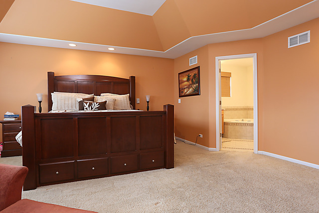 13407 Skyline Dr, Plainfield, IL 60585 photo 16