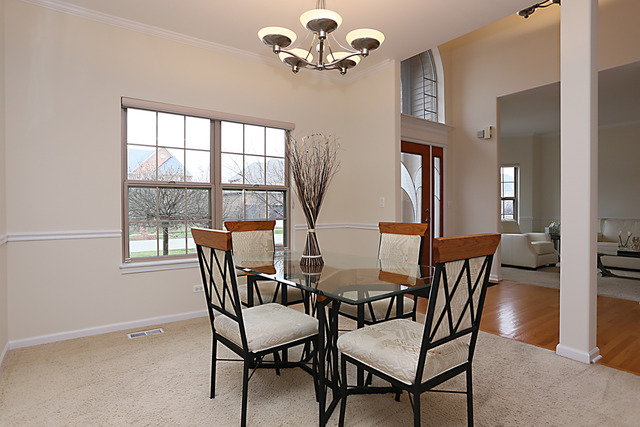 13407 Skyline Dr, Plainfield, IL 60585 photo 4