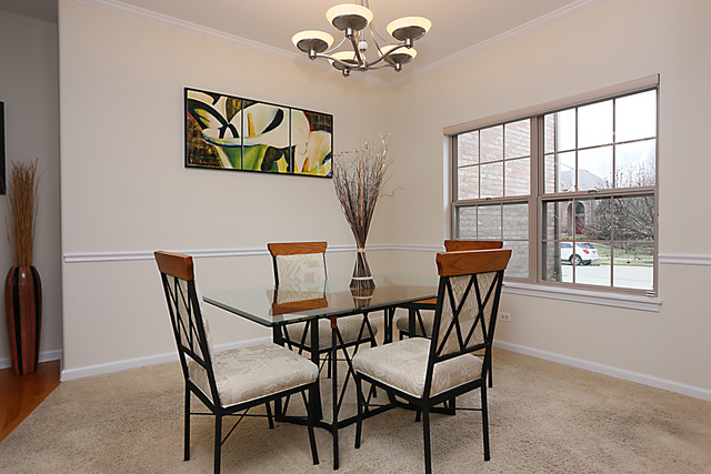 13407 Skyline Dr, Plainfield, IL 60585 photo 3