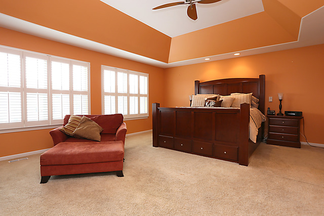 13407 Skyline Dr, Plainfield, IL 60585 photo 15
