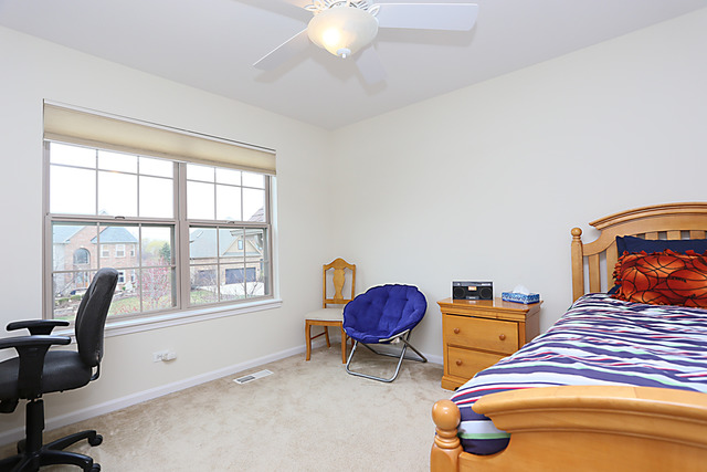 13407 Skyline Dr, Plainfield, IL 60585 photo 20