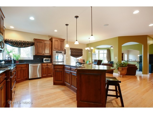 25251 S Tuscany Dr, Monee, IL 60449 photo 3