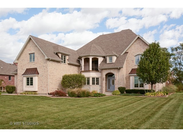 25251 S Tuscany Dr, Monee, IL 60449 photo 1