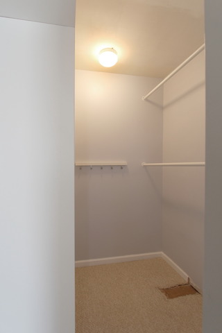 1017 Hill Ave, Elgin, IL 60120 photo 18