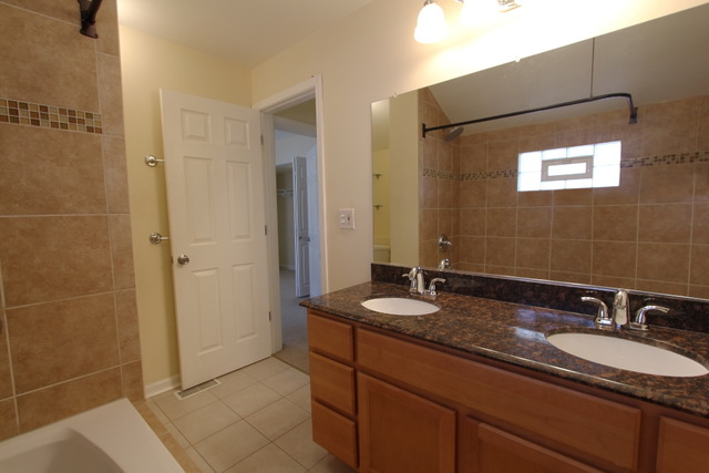 1017 Hill Ave, Elgin, IL 60120 photo 24