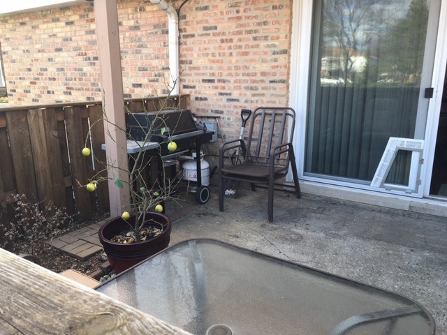 1808 Plum Grove Rd #1C, Rolling Meadows, IL 60008 photo 14